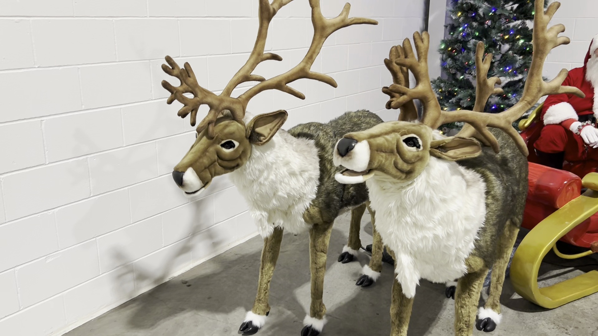 Holiday Singing Reindeer