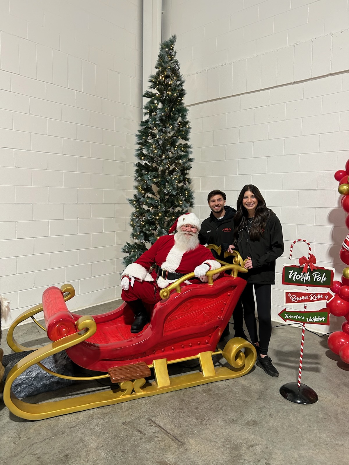 Holiday Santa Sleigh